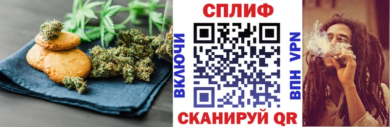 как найти наркотики  mega   Cannafood конопля  Морозовск 