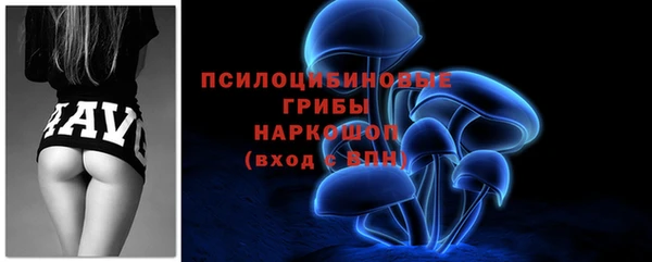 скорость Абаза