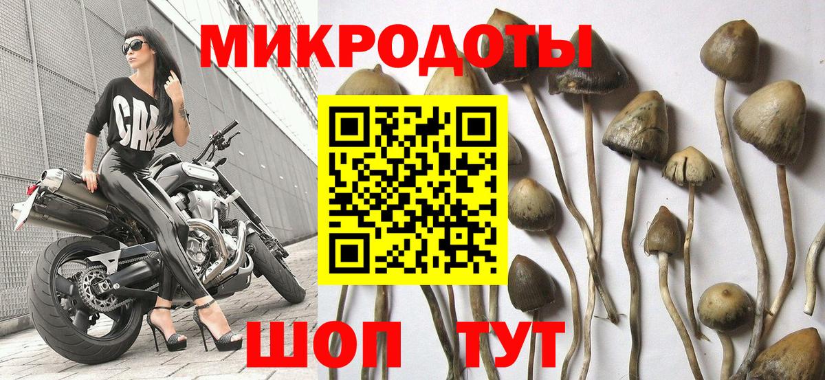 Морозовск  Псилоцибиновые грибы Cubensis  Галлюциногенные грибы мицелий  Вход с VPN 