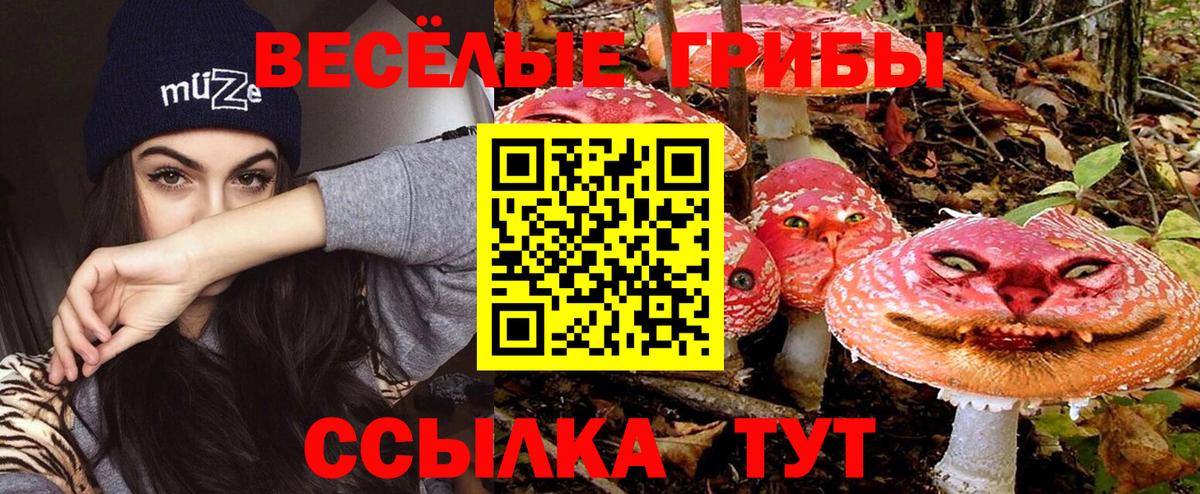 Галлюциногенные грибы мухоморы Морозовск