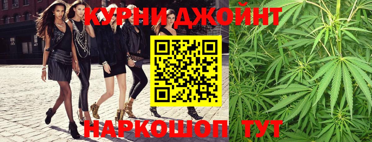 Конопля гибрид Морозовск